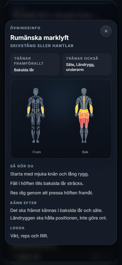 Övningsinfo för rumänska marklyft med muskelkarta fram och bak